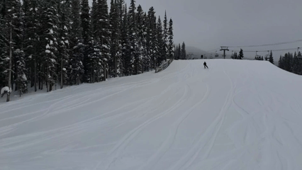 gif of me skiing